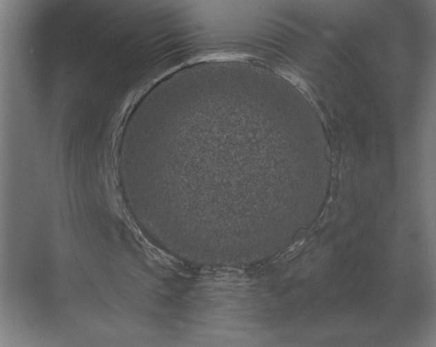 X0000069820337200605261820