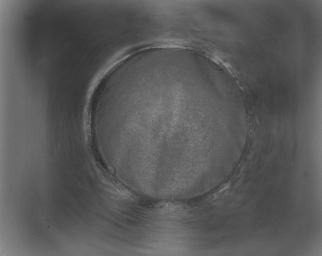 X0000069820343200605261820