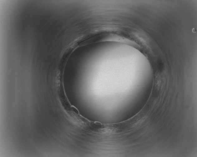 X0000069820356200605261820