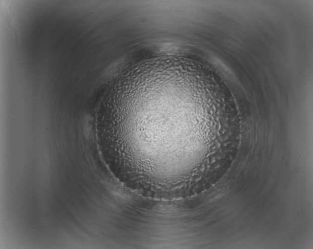 X0000069820361200605261820