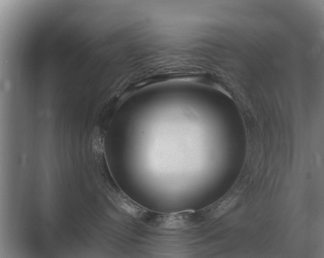 X0000069820384200605261821