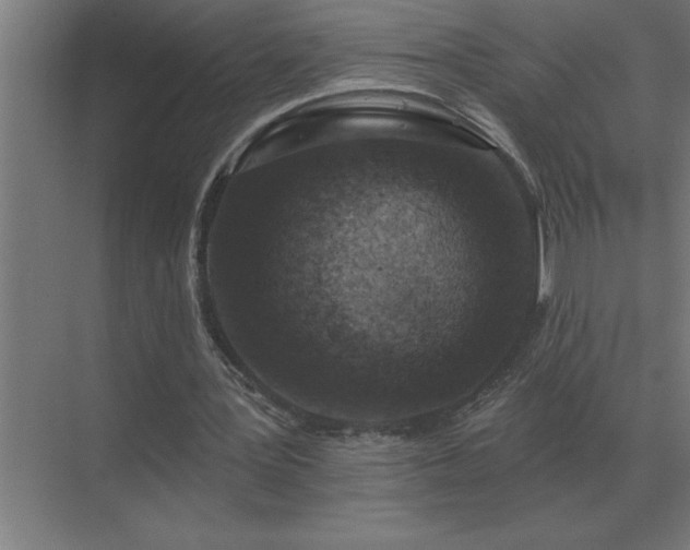 X0000069820387200605261820