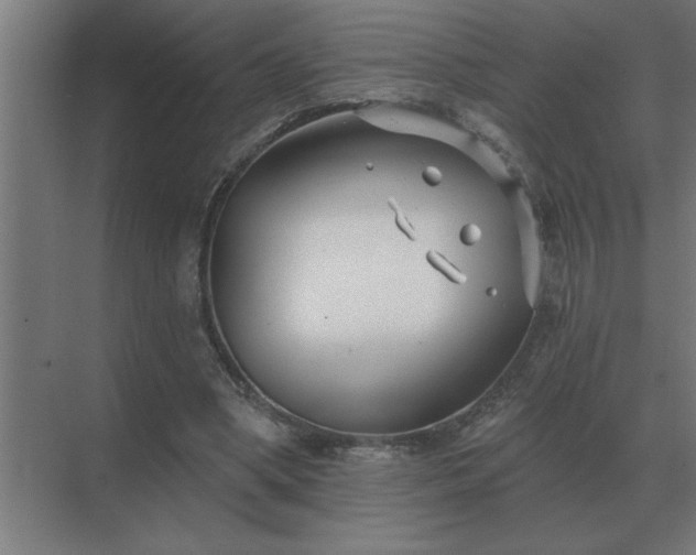 X0000069820394200605261820