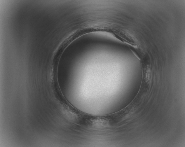 X0000069820400200605261820