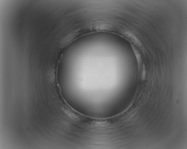 X0000069820401200605261820