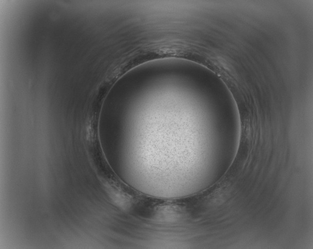 X0000069820408200605261819