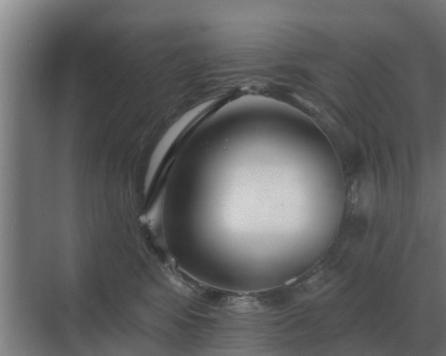 X0000069820424200605261819
