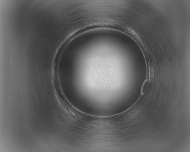 X0000069820435200605261818