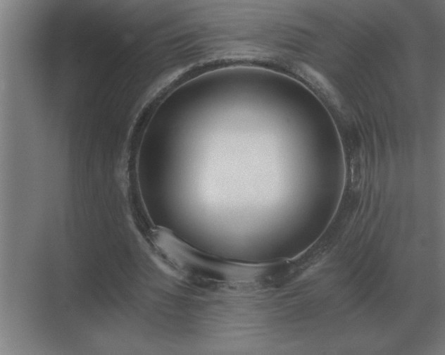 X0000069820436200605261818