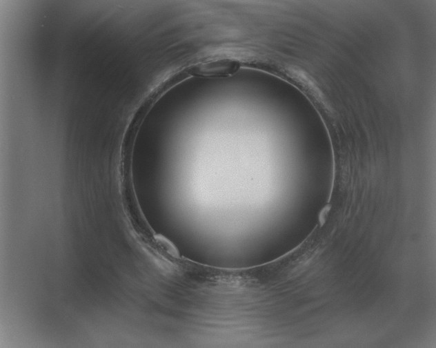 X0000069820439200605261818