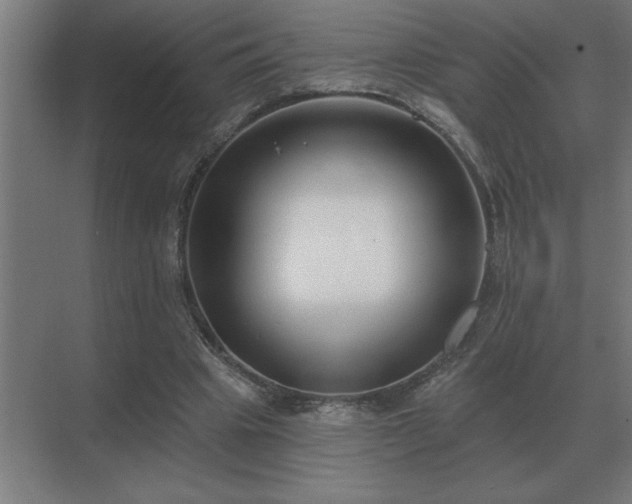 X0000069820441200605261818