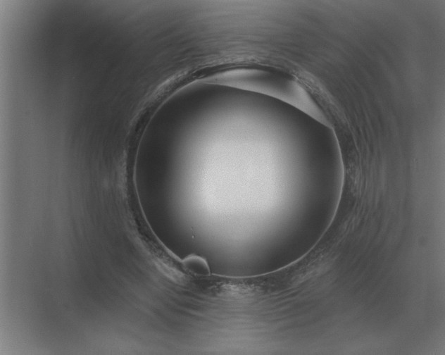 X0000069820442200605261818