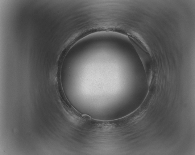 X0000069820443200605261818
