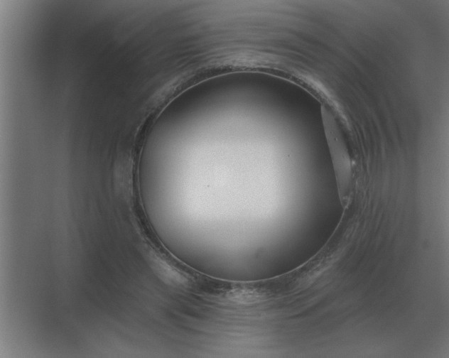 X0000069820445200605261818