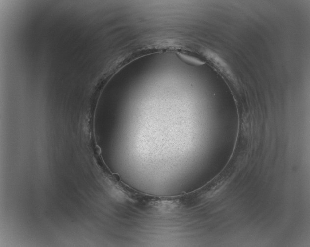 X0000069820449200605261819