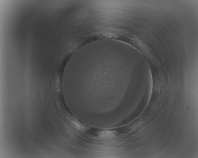 X0000069820465200605261819