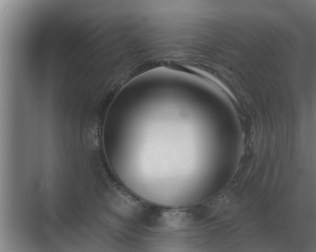 X0000069820470200605261819