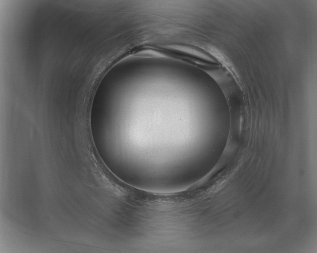 X0000069820481200605261818