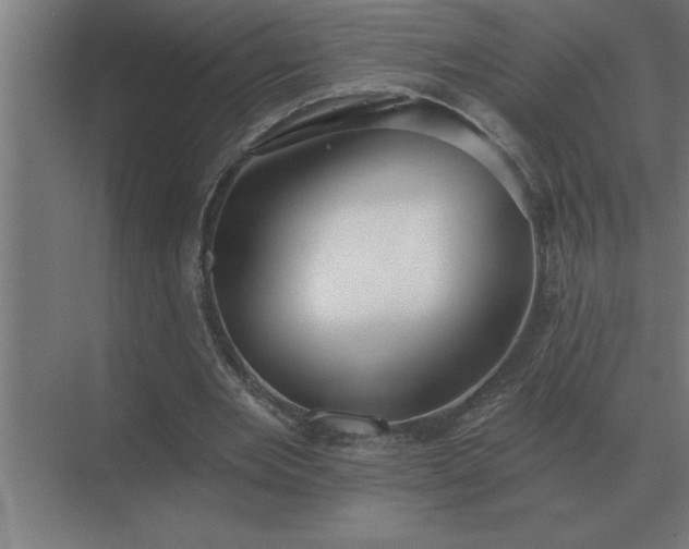 X0000069820485200605261818
