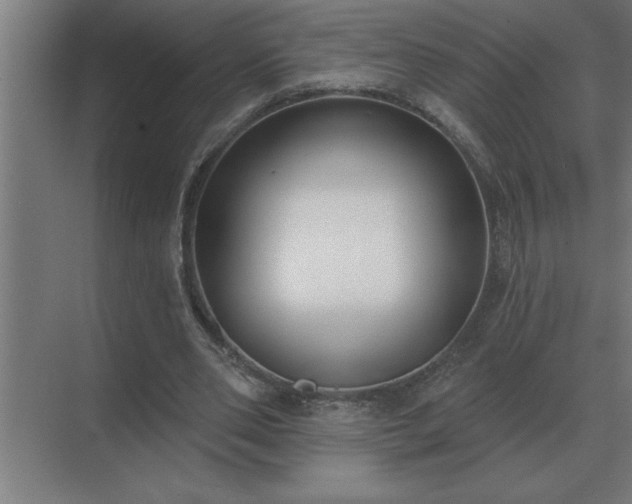 X0000069820486200605261818