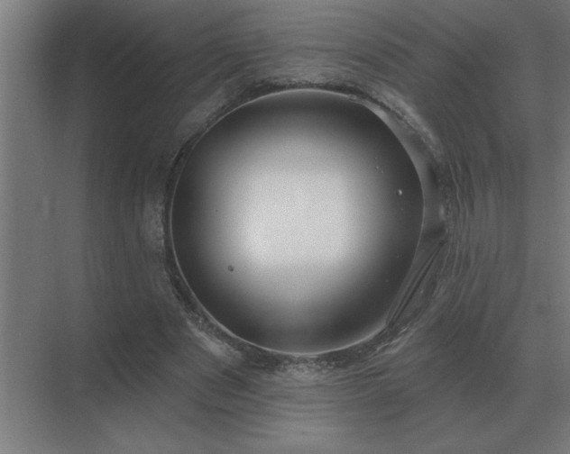 X0000069820489200605261818