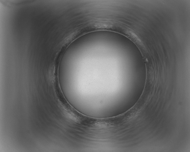 X0000069820490200605261818