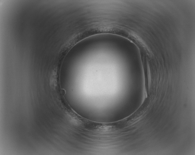 X0000069820497200605261818