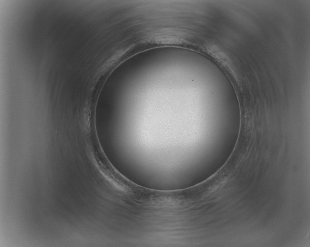 X0000069820533200605261817