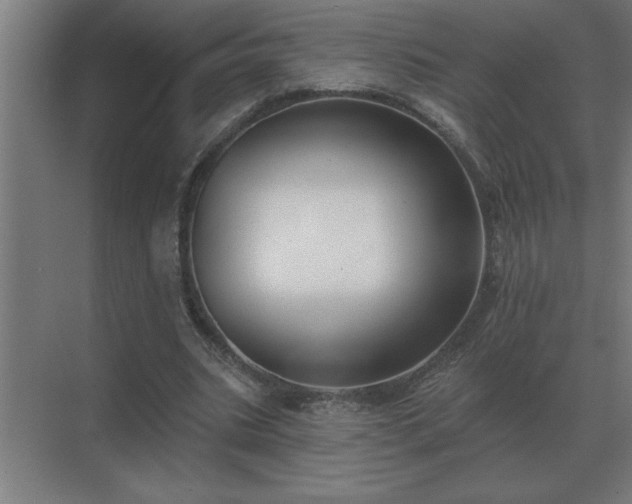 X0000069820535200605261817