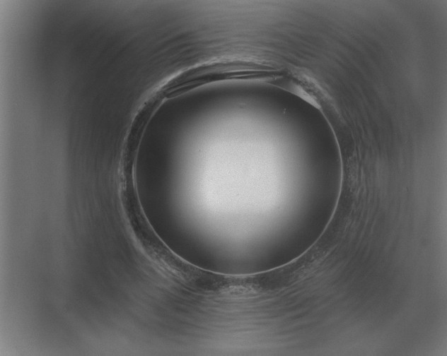 X0000069820536200605261817