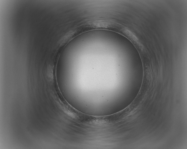 X0000069820537200605261817