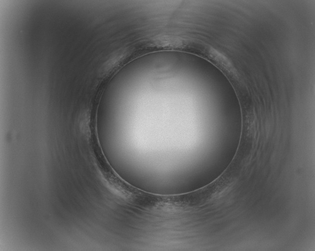 X0000069820538200605261817