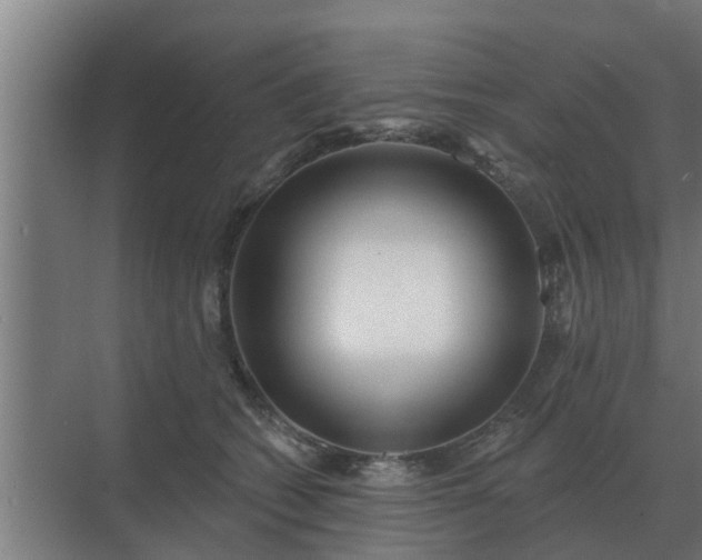 X0000069820562200605261817