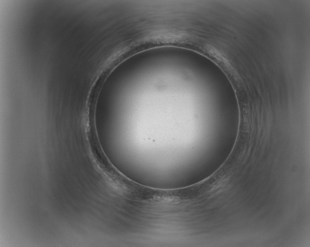 X0000069820582200605261817