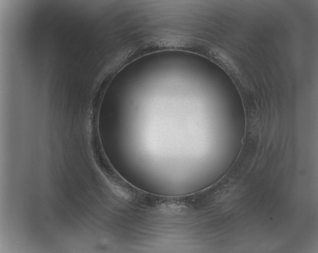 X0000069820586200605261816
