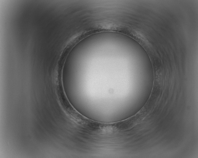 X0000069820587200605261816