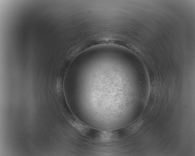 X0000069820623200605261816