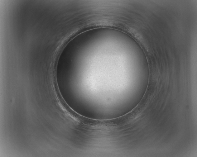 X0000069820625200605261815