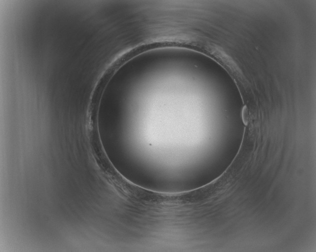 X0000069820628200605261815