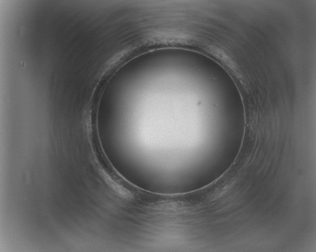 X0000069820629200605261815
