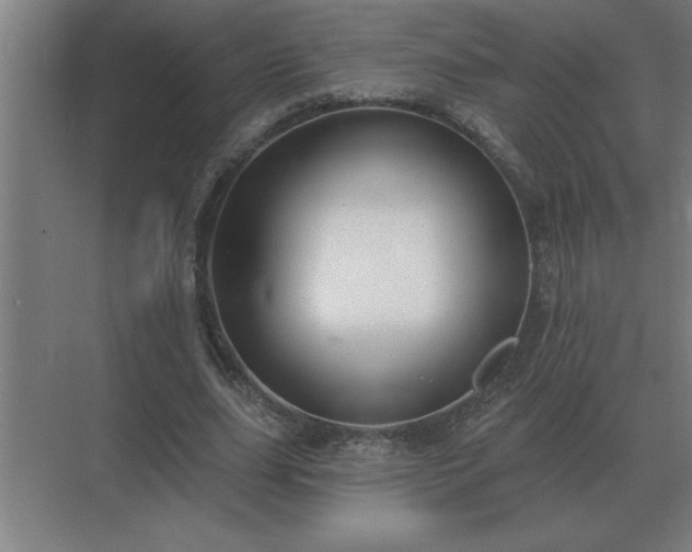 X0000069820631200605261815