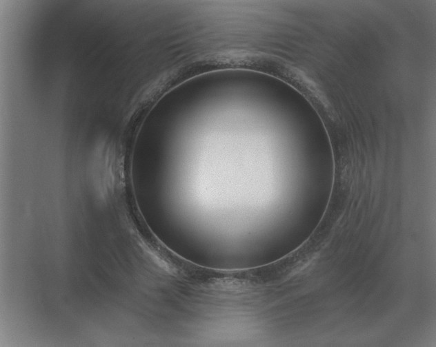 X0000069820633200605261815