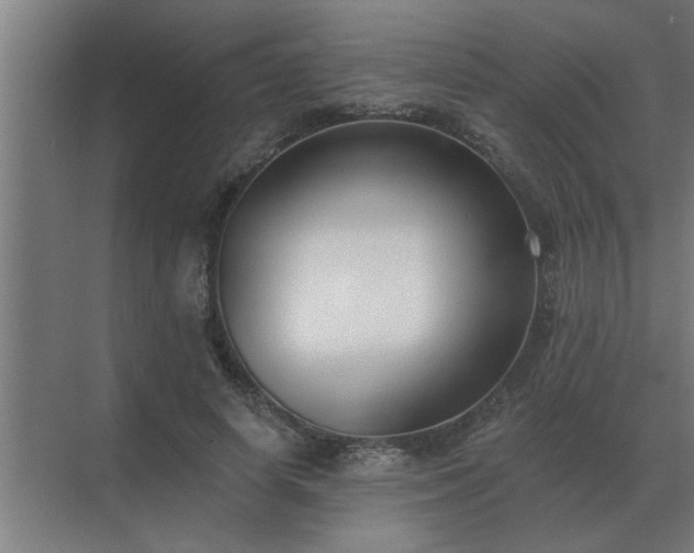 X0000069820642200605261815