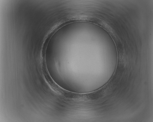X0000069820674200605261815