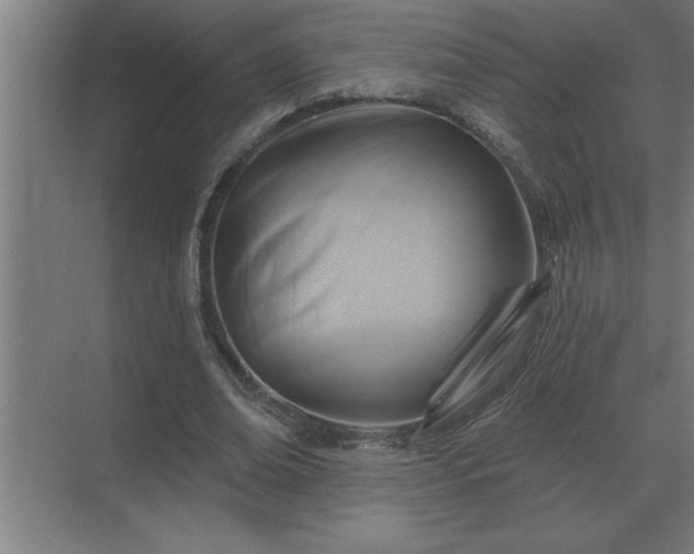 X0000069820678200605261815
