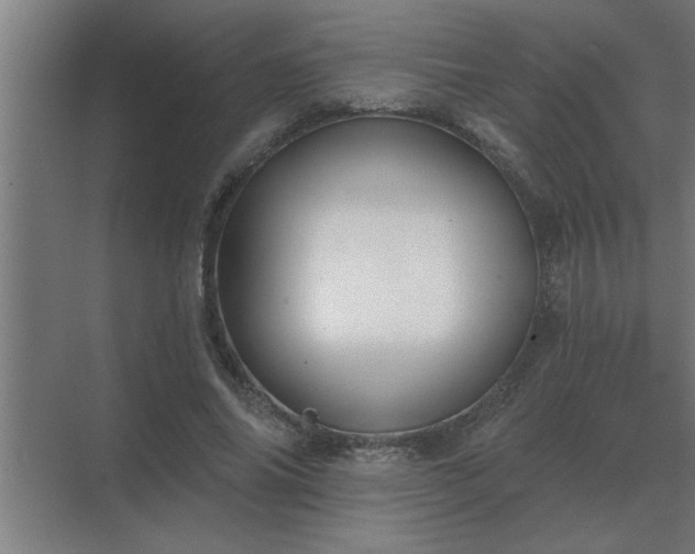 X0000069820686200605261815