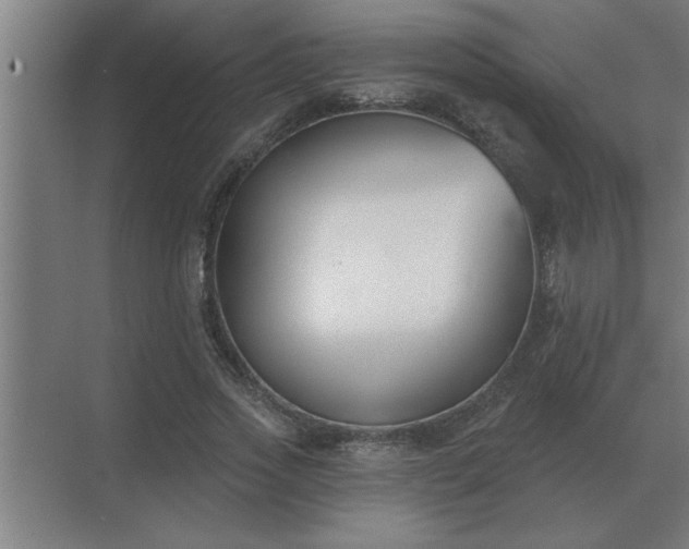 X0000069820733200605261814