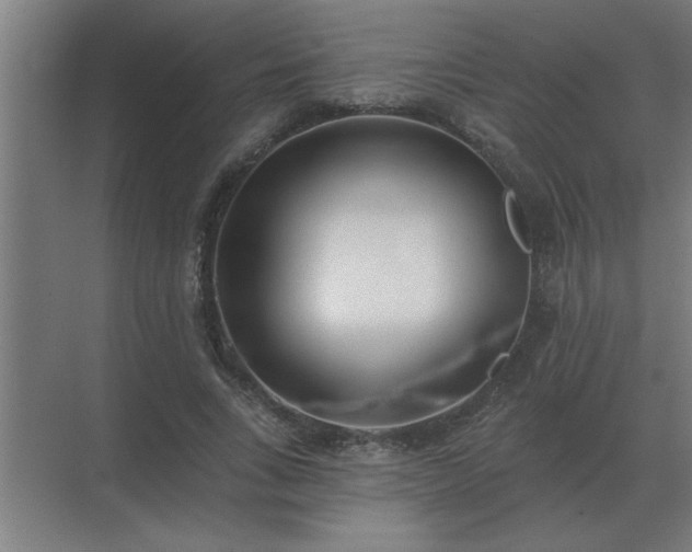 X0000069820735200605261814