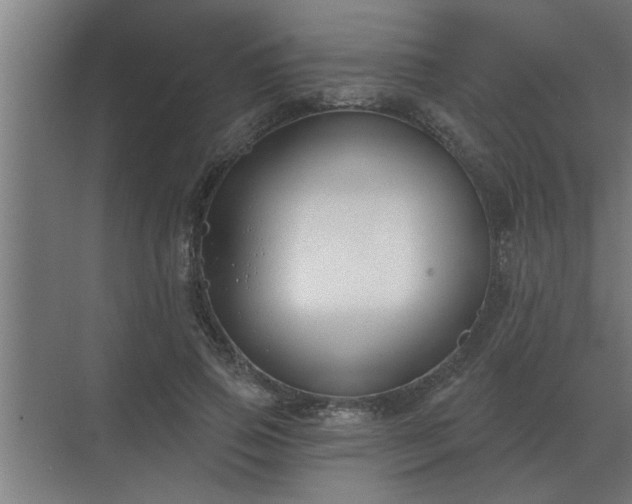 X0000069820741200605261814