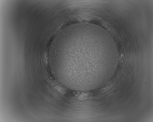 X0000069820772200605261813